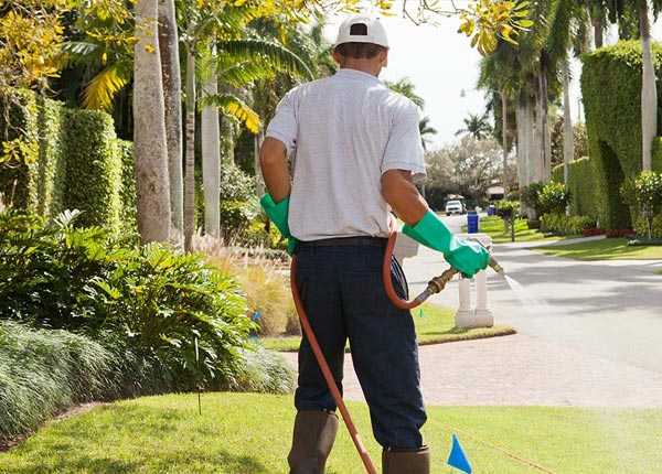 About Loveland OK Pest Control